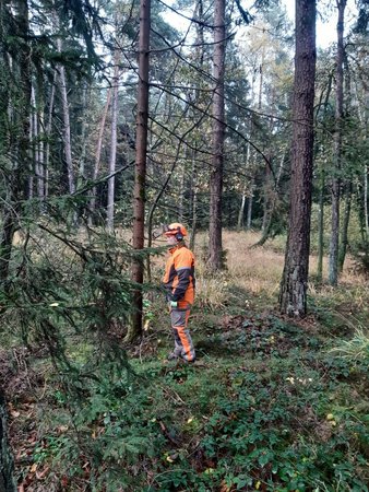 Damen Motorsägenkurs