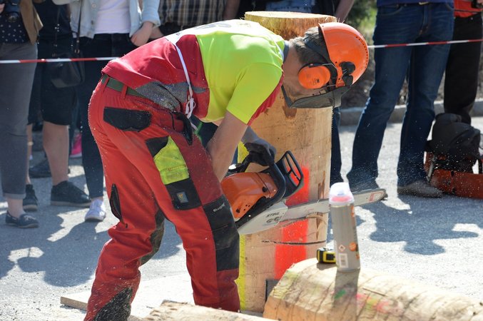 Forstwettbewerb in Schenkenfelden